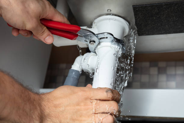 Best Water damage cleanup near me  in Pasadena, TX