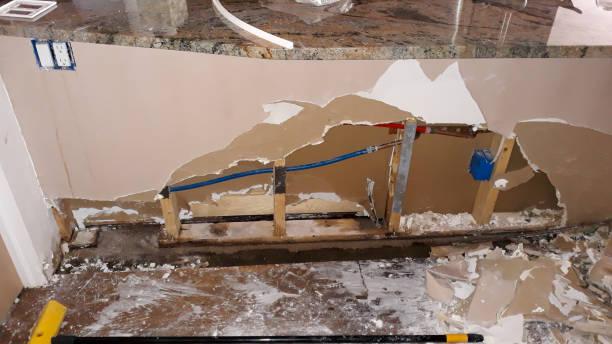 Best 24/7 water damage repair  in Pasadena, TX
