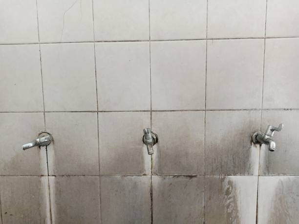 Best Local water damage restoration  in Pasadena, TX